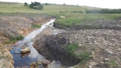 disturbed wetland area needing rehabilitation