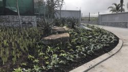Landscaping for Nuform South Coast Office Block