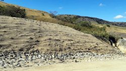 Steep embankment erosion control