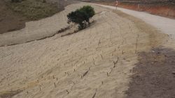 Supply and laying of biojute erosion control matting