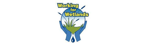 Working for Wetlands